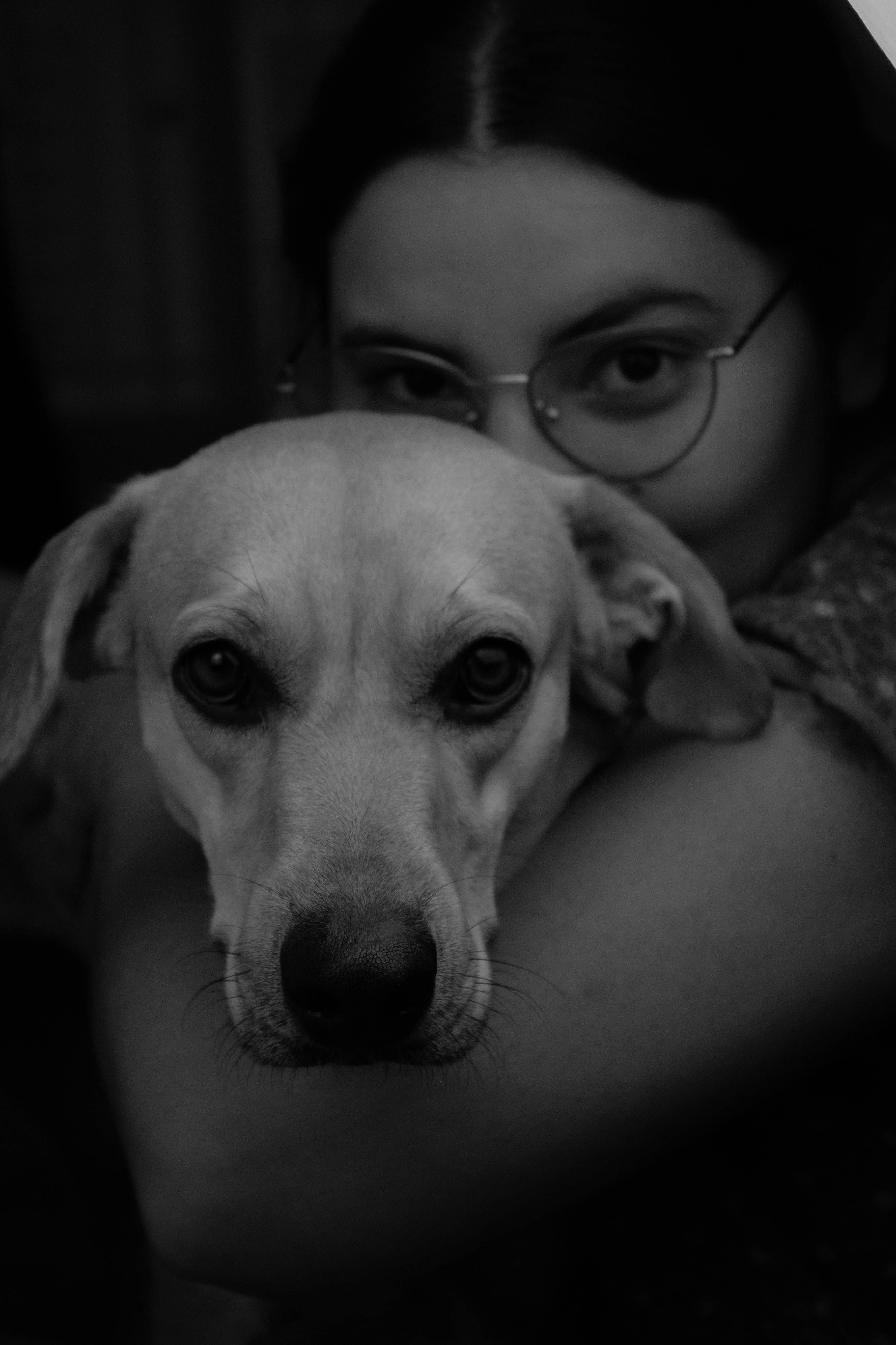 Mujer y perro en Palmira, Colombia, referencia para la investigación de biogás con heces caninas