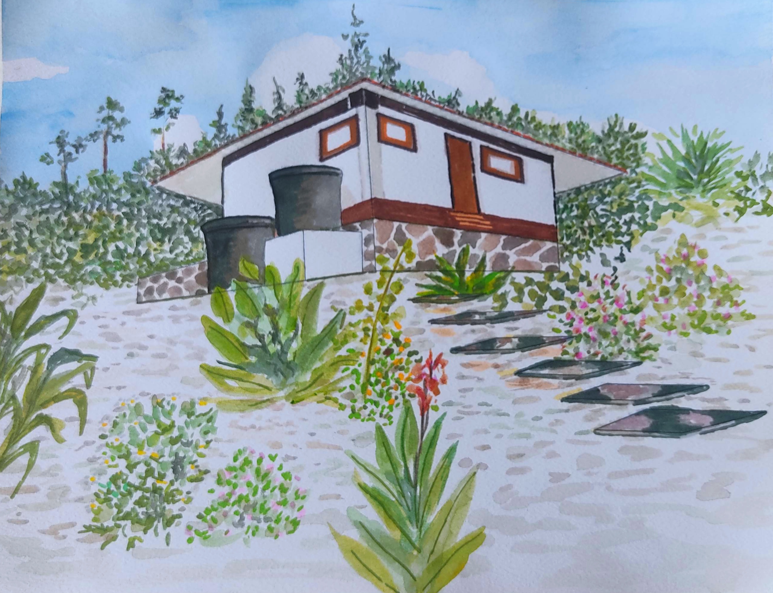Hand-drawn design proposal for a home and its surroundings