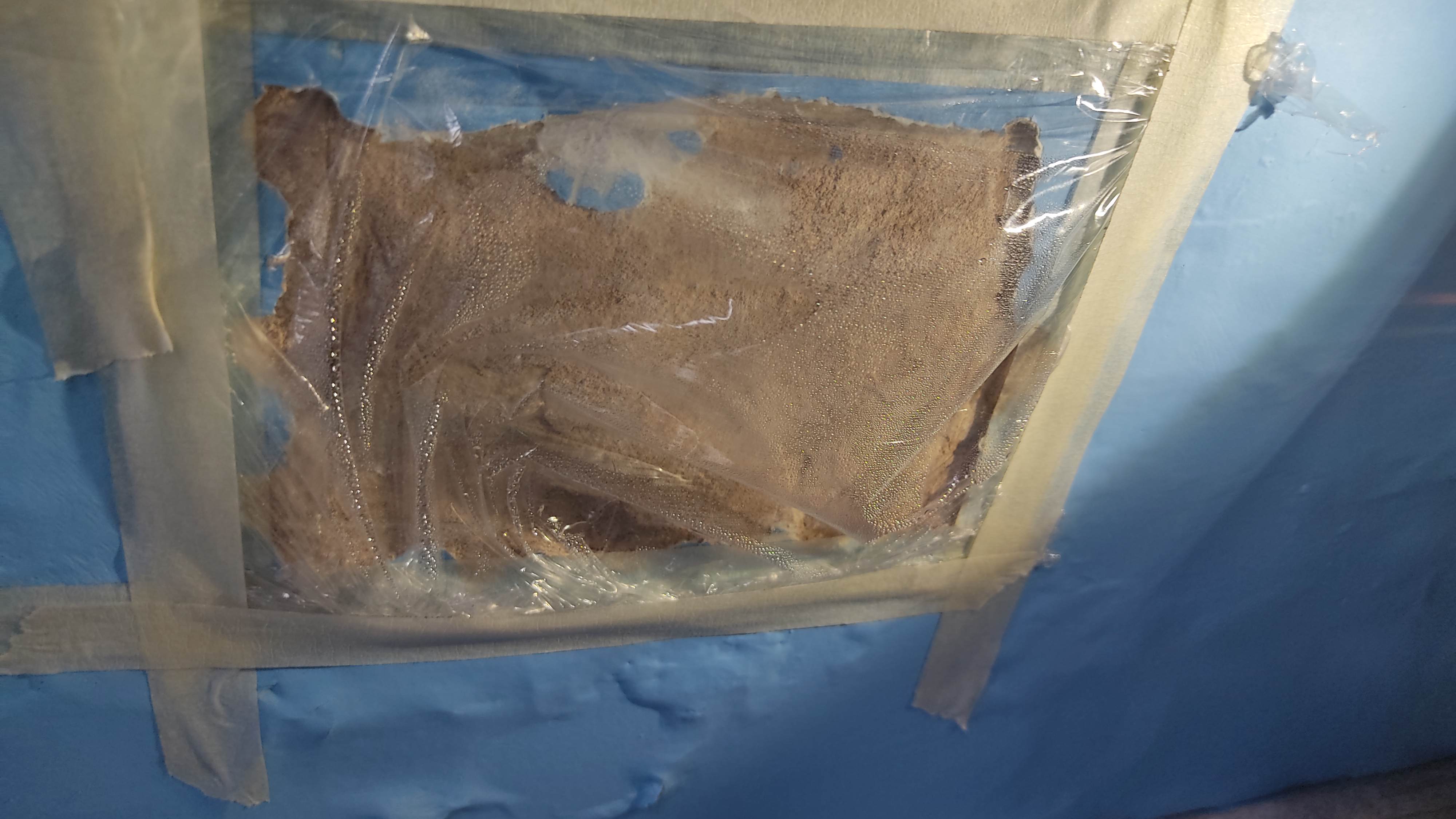 A test using a plastic sheet on a wall